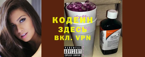 тгк Каменка
