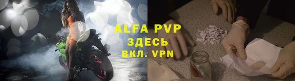 тгк Каменка
