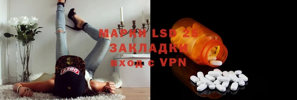 тгк Каменка