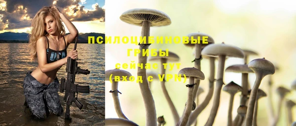тгк Каменка