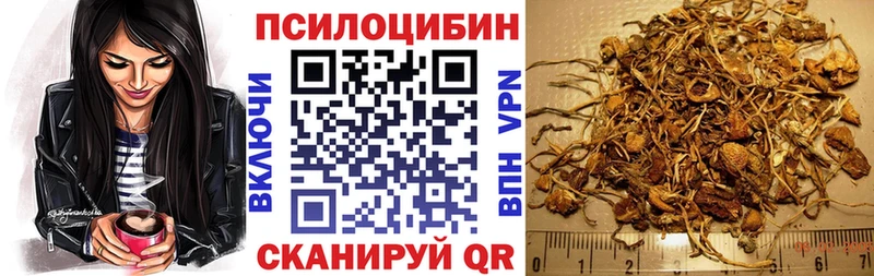 Купить где  Дивногорск  Псилоцибиновые грибы Magic Shrooms 